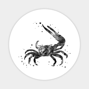 Fiddler crab Magnet